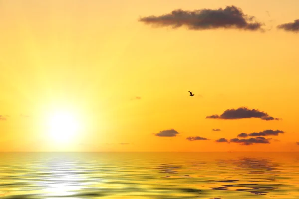 Laut matahari terbenam — Stok Foto