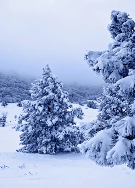 Na sneeuwstorm b — Stockfoto