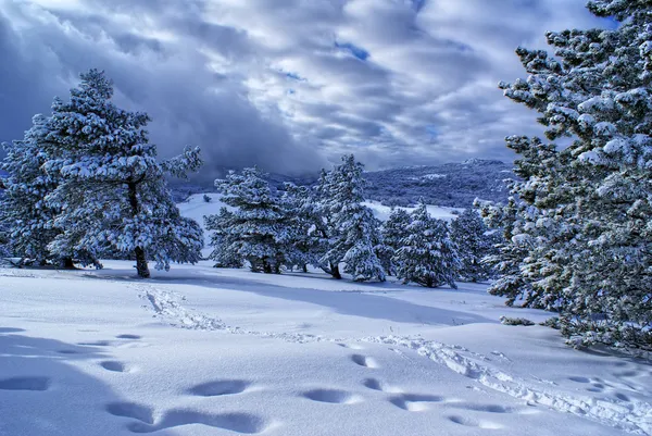 Zimowy krajobraz u — Zdjęcie stockowe