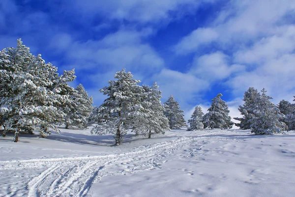 Zimowy krajobraz h — Zdjęcie stockowe