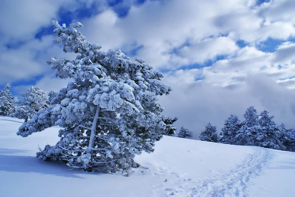 Vinter landskap f — Stockfoto