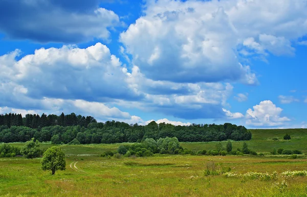 Landscape with cloudy sky — Stock Photo, Image