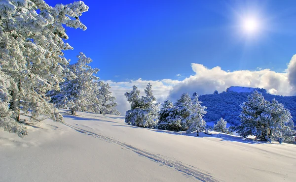 Zonnige winterdag — Stockfoto