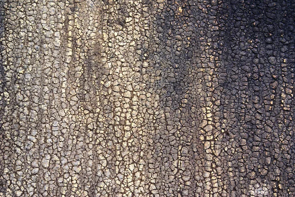 stock image Crackled texture