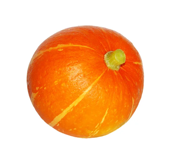 Small pumpkin — Stock Photo, Image