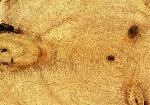 Trä skuren textur — Stockfoto