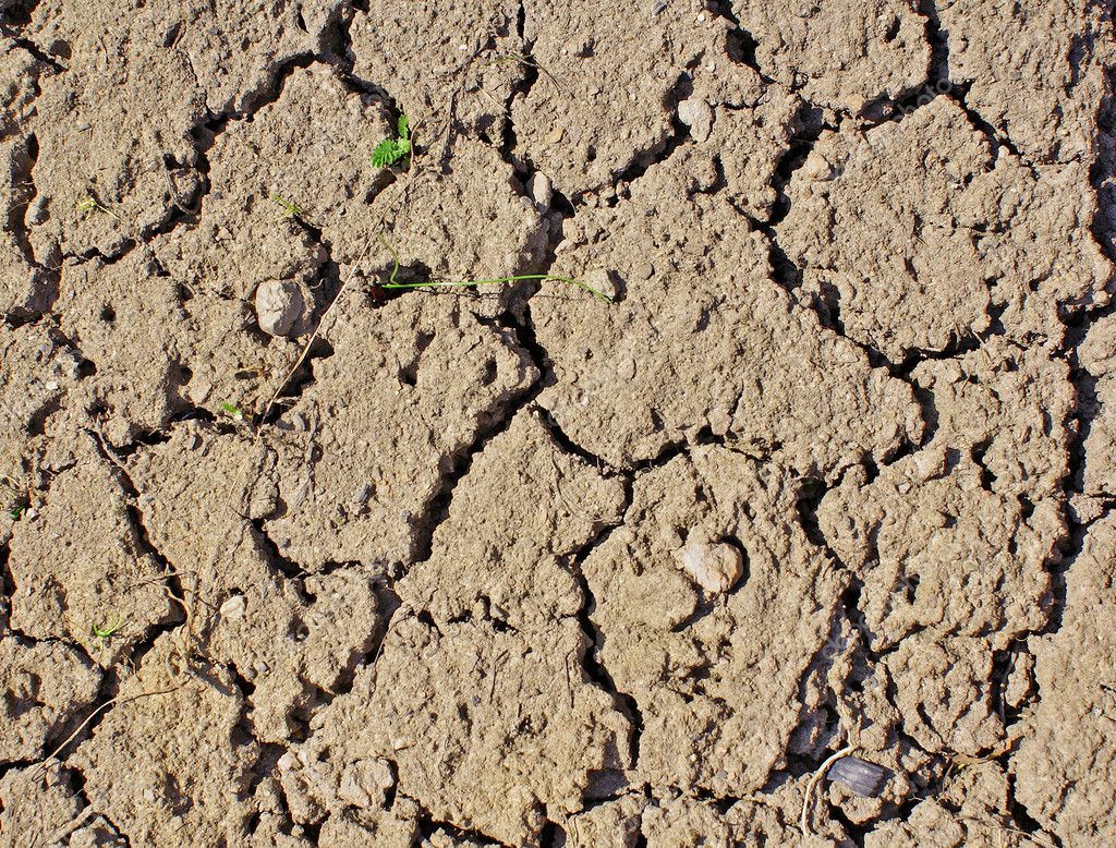 Dry Ground — Stock Photo © Alexkar08 #1152725