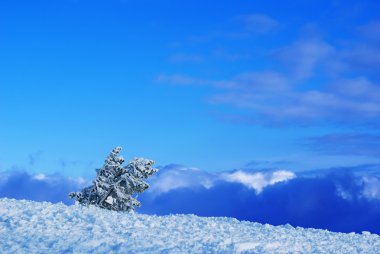 Sky, snow, and pines clipart