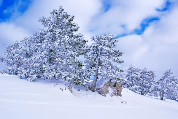 Зимний пейзаж S — стоковое фото