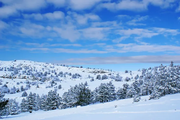 Зимний пейзаж N — стоковое фото