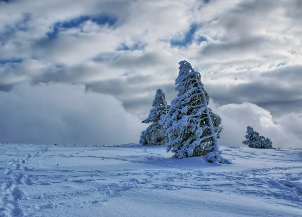Ben kış manzara — Stok fotoğraf