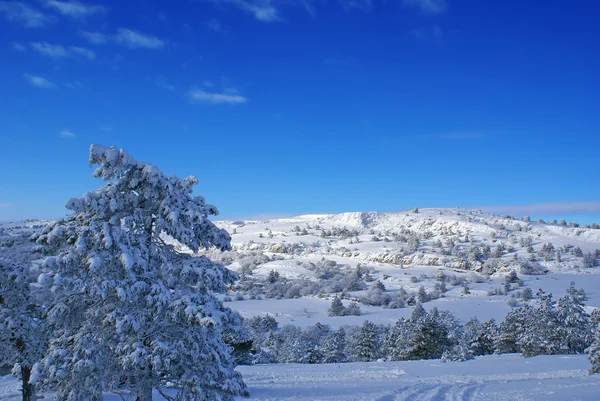 Зимний пейзаж R — стоковое фото