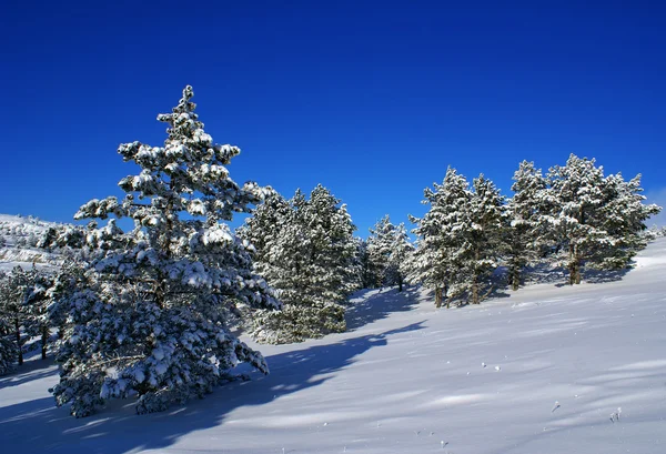 Winter landschap c — Stockfoto