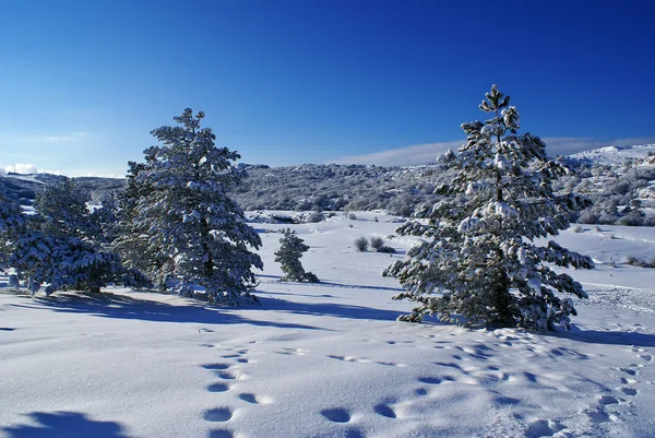 Winter landschap j — Stockfoto