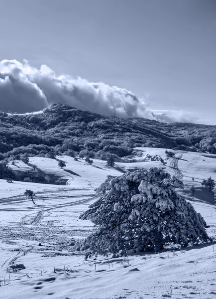 Inverno esplêndido — Fotografia de Stock