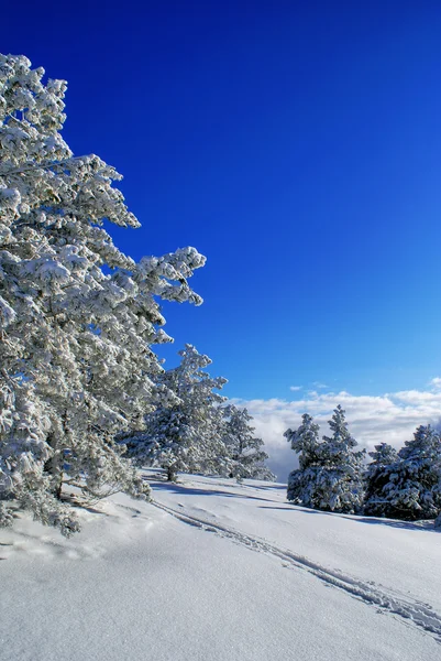 Paesaggio invernale V — Foto Stock