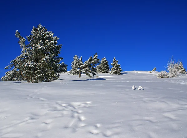 Зимний пейзаж Q — стоковое фото
