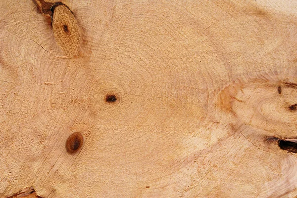 木制切 — 图库照片