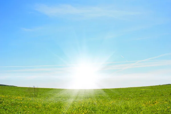 Zon, lucht en gras — Stockfoto