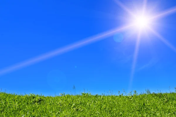 Zielona trawa i błękitne niebo — Zdjęcie stockowe