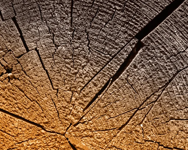 Выветриваемая древесина — стоковое фото