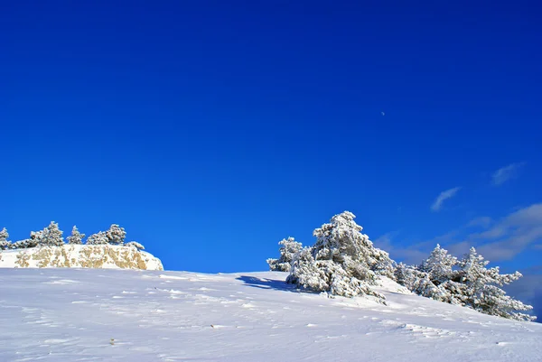 Winter landschap w — Stockfoto