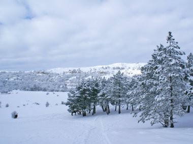 Winter landscape W clipart