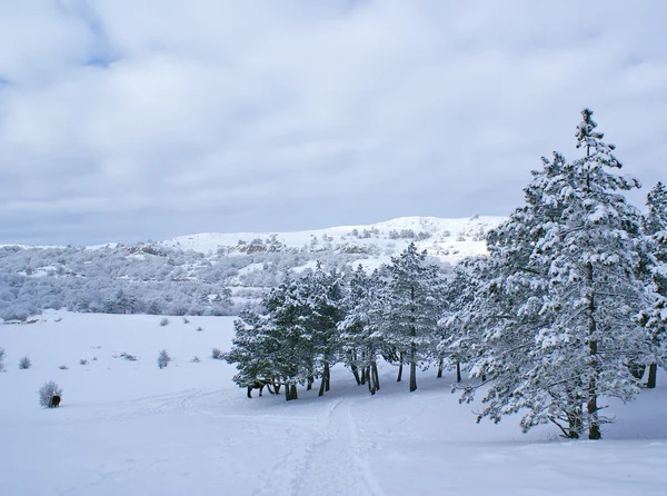 Zimowy krajobraz w — Zdjęcie stockowe