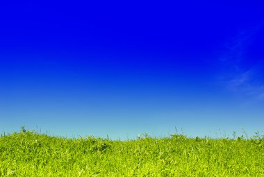 Green grass and blue sky clipart