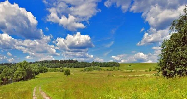 Summer panorama landscape — Stock Photo, Image