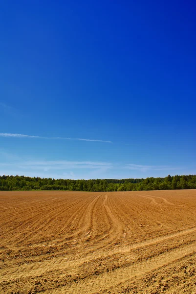 Zemědělství pole — Stock fotografie