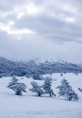 na sneeuwstormsonra kar fırtınası