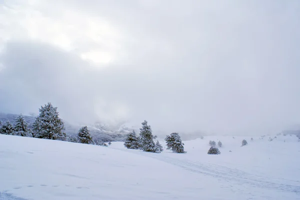 พายุหิมะ — ภาพถ่ายสต็อก