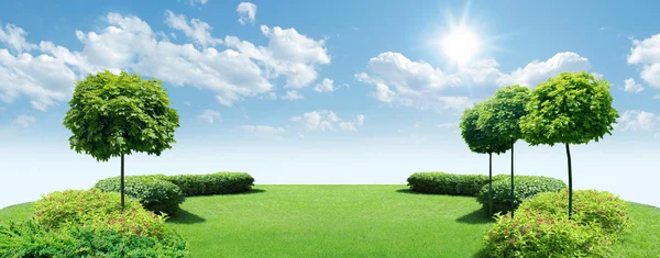 Green trees on blue sky under the sun. — Stock Photo, Image