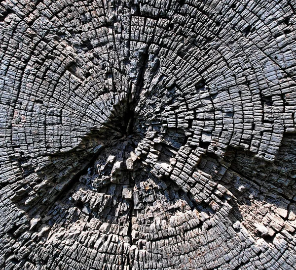 stock image Fragment of old wooden windmill