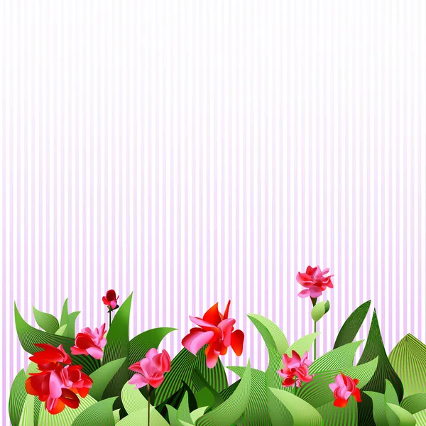 Blumengarten — Stockfoto