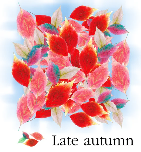 Koberec pozadí podzimního listí. — Stock fotografie