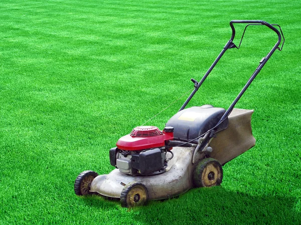 Lawn mower on green grass backyard — Stok fotoğraf