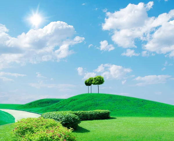 Mavi gökyüzünde yeşil bulvar . — Stok fotoğraf