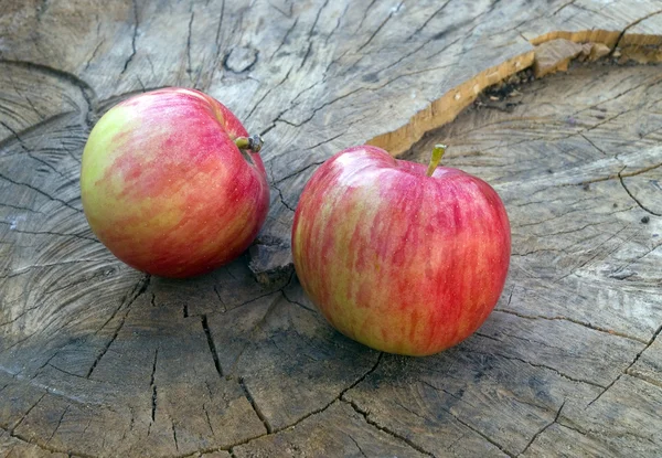 Autumnal apples on old wood — Stock Photo, Image