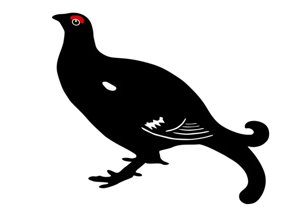 黑琴鸡 (tetrao 蚱) — 图库照片