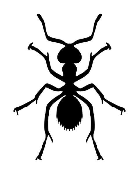 Μυρμήγκι — Φωτογραφία Αρχείου