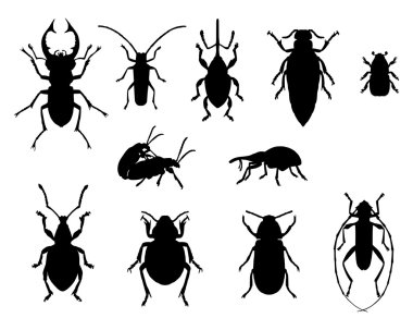 Collection of beetles clipart
