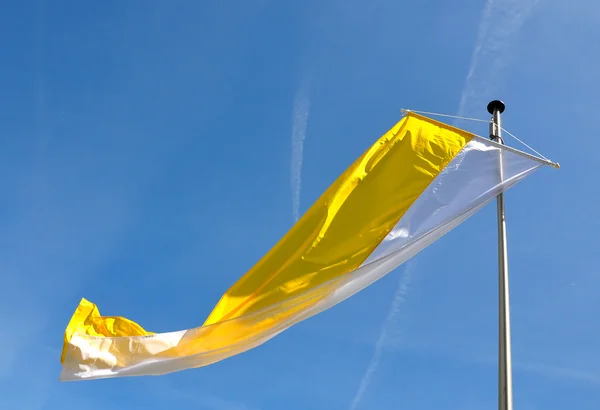 stock image Flag of Vatican