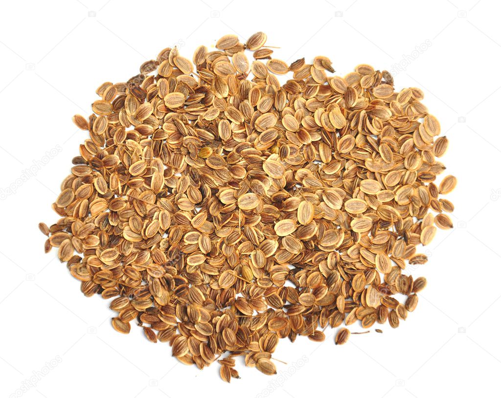 Dill seeds Stock Photo by ©rbiedermann 1202926