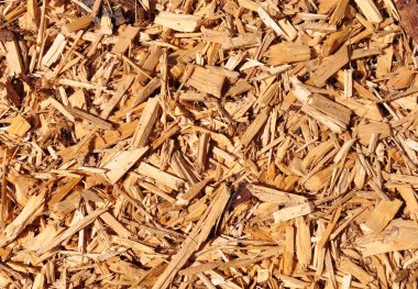 Wood chips clipart