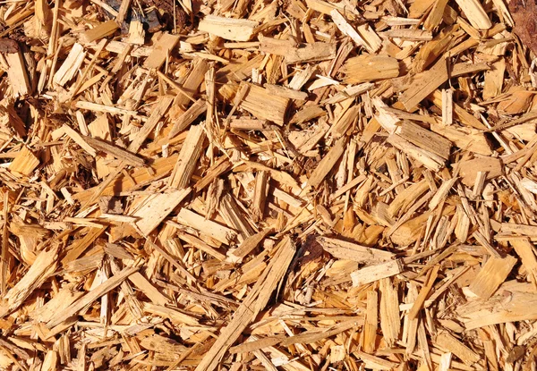 나무 칩 — 스톡 사진