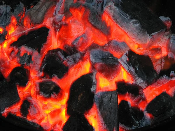 木炭 — 图库照片