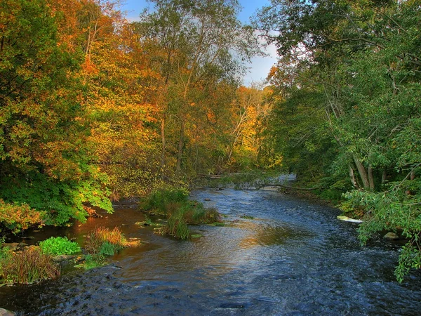 Farbenfroher Herbstfluss — Stockfoto