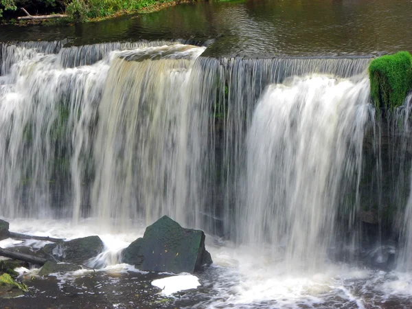 stock image Waterfall